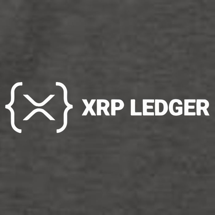 Xrp Ledger Vector Backpack