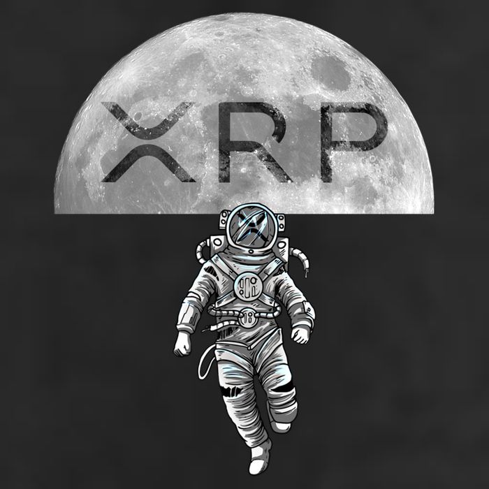 Xrp Moon Astronaut Ripple Cryptocurrency Graphic Cute Gift Trucker Hat