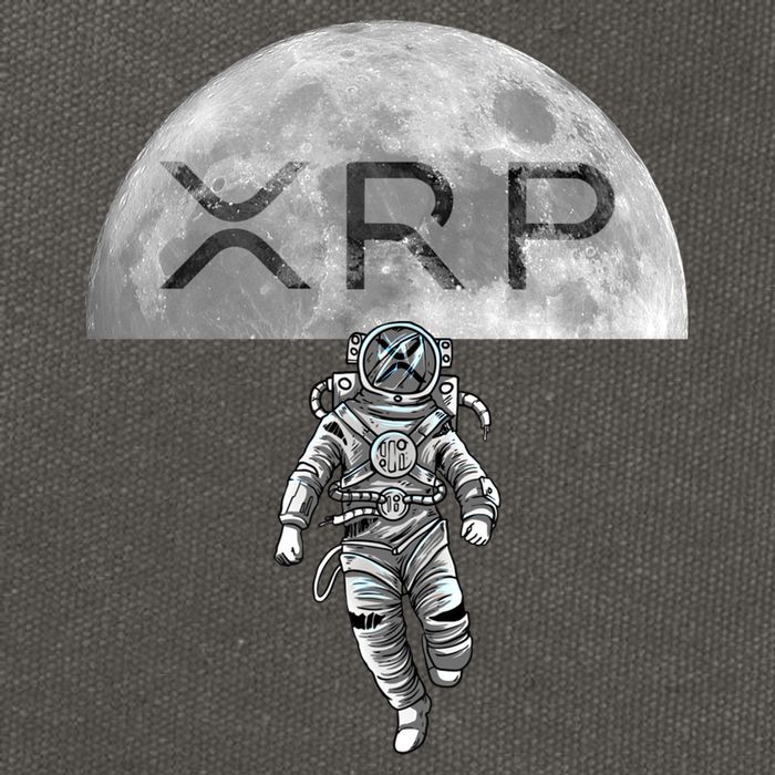 Xrp Moon Astronaut Ripple Cryptocurrency Graphic Cute Gift Cotton Canvas Backpack