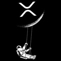 Xrp Moon Merch Cryptocurrency Crypto Currency Merchandise Flatbill Hat