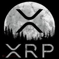 Xrp Moon Ripple High Crown Mesh Back Trucker Hat