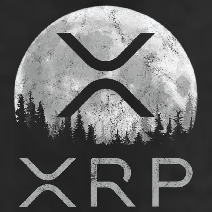 Xrp Moon Ripple Adult Drive Performance Visor