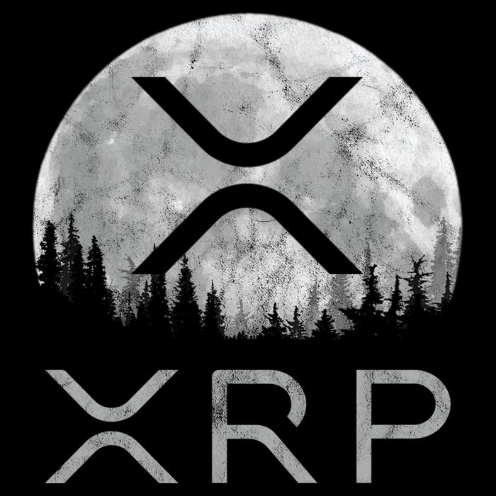 Xrp Moon Ripple Mug
