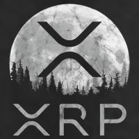 Xrp Moon Ripple Trucker Hat
