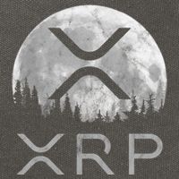Xrp Moon Ripple Cotton Canvas Backpack