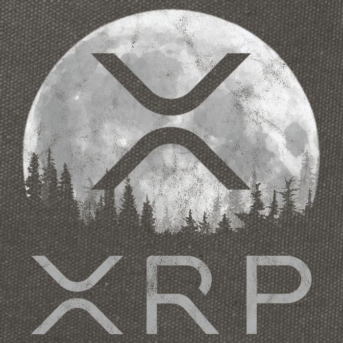 Xrp Moon Ripple Cotton Canvas Backpack