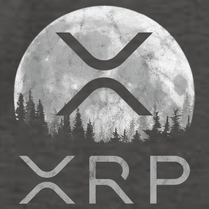Xrp Moon Ripple Vector Backpack