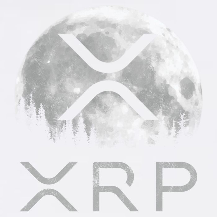 Xrp Moon Ripple Garment-Dyed Sweatshirt