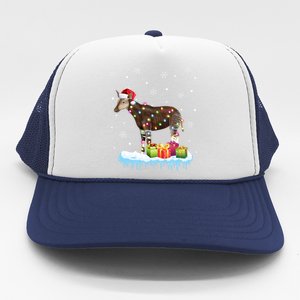 Xgiftmas Okapi Christmas Lights Funny Wild Forest Giraffe Okapi Gift Trucker Hat