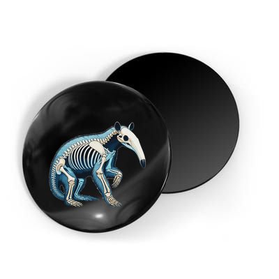 X Ray Anteater Body Anatomy Radiography Skeleton Magnet