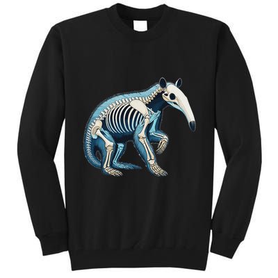 X Ray Anteater Body Anatomy Radiography Skeleton Tall Sweatshirt