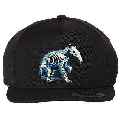 X Ray Anteater Body Anatomy Radiography Skeleton Wool Snapback Cap
