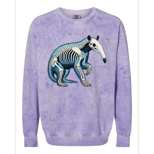 X Ray Anteater Body Anatomy Radiography Skeleton Colorblast Crewneck Sweatshirt