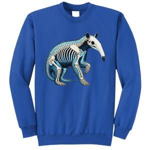 X Ray Anteater Body Anatomy Radiography Skeleton Sweatshirt