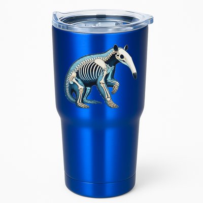 X Ray Anteater Body Anatomy Radiography Skeleton Tumbler