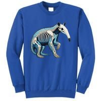 X Ray Anteater Body Anatomy Radiography Skeleton Tall Sweatshirt