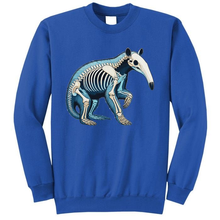 X Ray Anteater Body Anatomy Radiography Skeleton Tall Sweatshirt