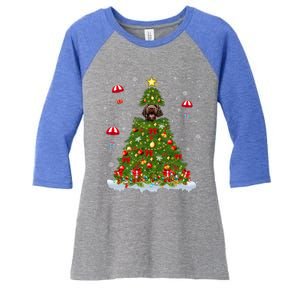 Xmas Tree Decorations Lights Santa Poodle Dog Christmas Gift Women's Tri-Blend 3/4-Sleeve Raglan Shirt