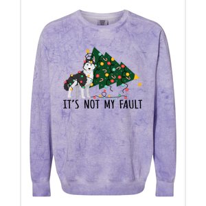 Xmas Tree It Is Not My Fault Siberian Husky Dog Christmas Gift Colorblast Crewneck Sweatshirt