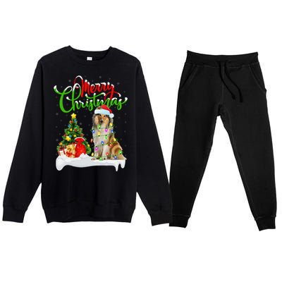 Xmas Tree Lights Santa Hat Rough Collie Dog Christmas Premium Crewneck Sweatsuit Set