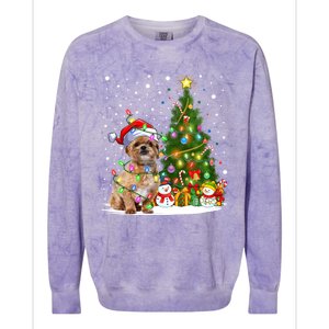 Xmas Tree Lighting Santa Shih Tzu Dog Christmas Gift Colorblast Crewneck Sweatshirt