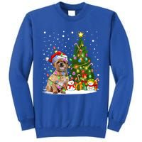 Xmas Tree Lighting Santa Shih Tzu Dog Christmas Gift Tall Sweatshirt