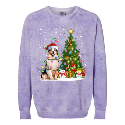 Xmas Tree Lighting Santa Australian Shepherd Dog Christmas Cool Gift Colorblast Crewneck Sweatshirt