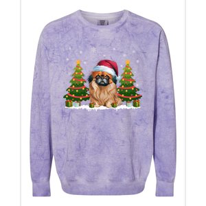 Xmas Tree Lights Pekingese Dog Santa Hat Christmas Meaningful Gift Colorblast Crewneck Sweatshirt