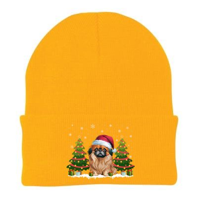 Xmas Tree Lights Pekingese Dog Santa Hat Christmas Meaningful Gift Knit Cap Winter Beanie