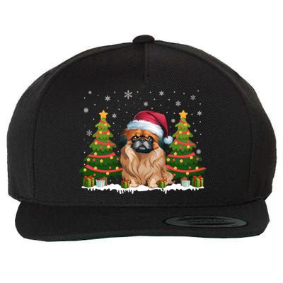 Xmas Tree Lights Pekingese Dog Santa Hat Christmas Meaningful Gift Wool Snapback Cap