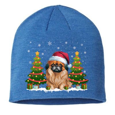 Xmas Tree Lights Pekingese Dog Santa Hat Christmas Meaningful Gift Sustainable Beanie