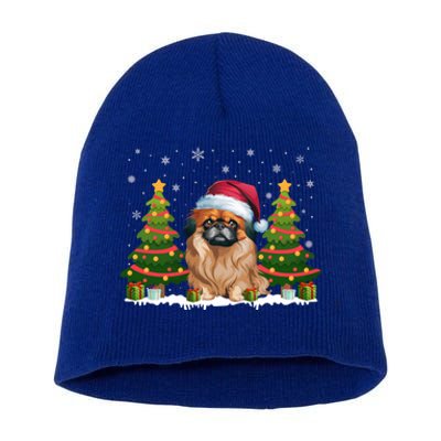 Xmas Tree Lights Pekingese Dog Santa Hat Christmas Meaningful Gift Short Acrylic Beanie