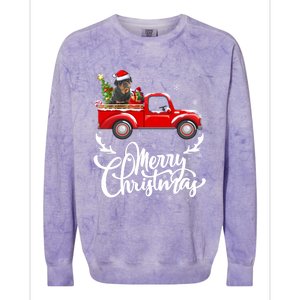 Xmas Tree Rottweiler Dog Riding Red Truck Merry Christmas Cool Gift Colorblast Crewneck Sweatshirt