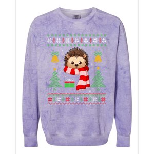 Xmas Ugly Style Hedgehog Christmas Gift Colorblast Crewneck Sweatshirt