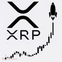 Xrp Baby Bodysuit