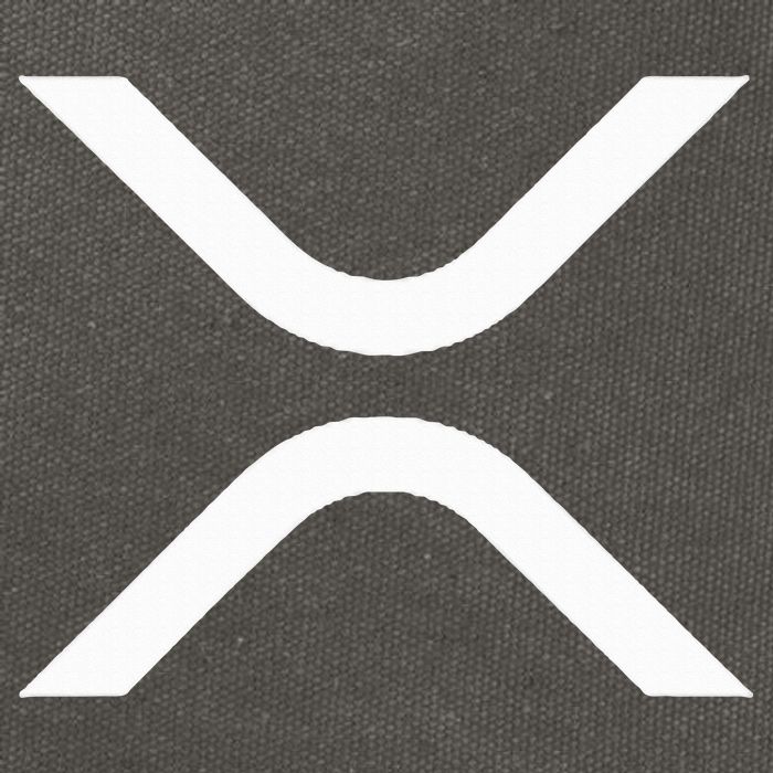 Xrp Cotton Canvas Backpack