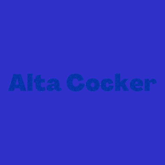Yiddish Alta Cocker a Funny Jewish Old Person  Mesh Reversible Basketball Jersey Tank