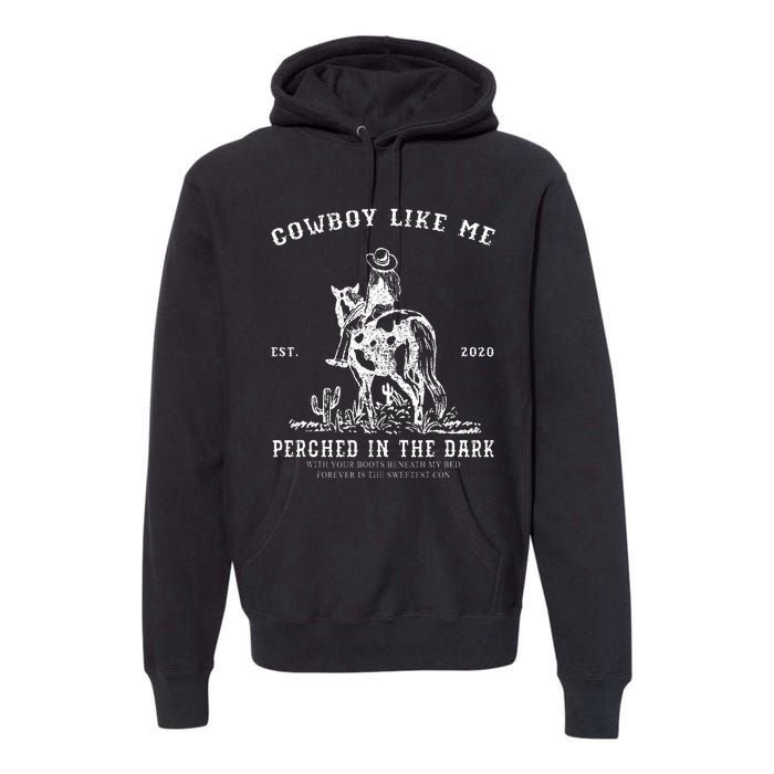 YouRe A Cowboy Like Me Vintage Cowgirl Horse Lover Premium Hoodie