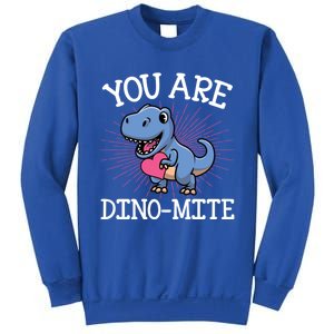 You Are Dinomeaningful Giftmite Cute Funny Valentines Day Dinosaur Tmeaningful G Sweatshirt