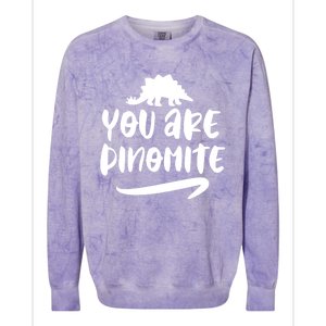 You Are Dinofunny Giftmite Dinosaur Back To School Great Gift Colorblast Crewneck Sweatshirt