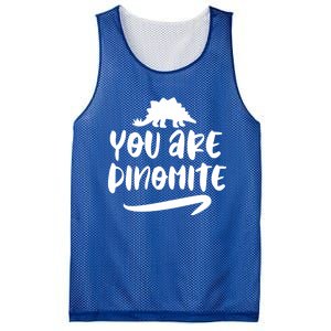 You Are Dinofunny Giftmite Dinosaur Back To School Great Gift Mesh Reversible Basketball Jersey Tank