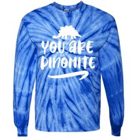 You Are Dinofunny Giftmite Dinosaur Back To School Great Gift Tie-Dye Long Sleeve Shirt