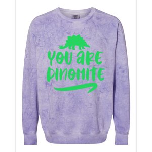 You Are Dinogiftmite Dinosaur Back To School Gift Colorblast Crewneck Sweatshirt