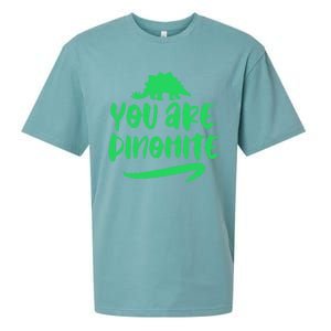 You Are Dinogiftmite Dinosaur Back To School Gift Sueded Cloud Jersey T-Shirt