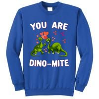 You Are Dinogiftmite Dinosaurs Valentines Day Heart Dinogiftmite Gift Sweatshirt