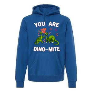 You Are Dinogiftmite Dinosaurs Valentines Day Heart Dinogiftmite Gift Premium Hoodie