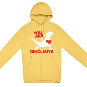 You Are Dinocool Giftmite Dinosaur Valentines Day Dinosaur Gift Premium Pullover Hoodie