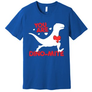 You Are Dinocool Giftmite Dinosaur Valentines Day Dinosaur Gift Premium T-Shirt