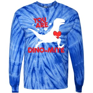 You Are Dinocool Giftmite Dinosaur Valentines Day Dinosaur Gift Tie-Dye Long Sleeve Shirt