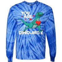 You Are Dinocute Giftmite Dinosaur Valentines Day Dinosaur Great Gift Tie-Dye Long Sleeve Shirt